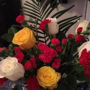 Meet your Posher, Eli